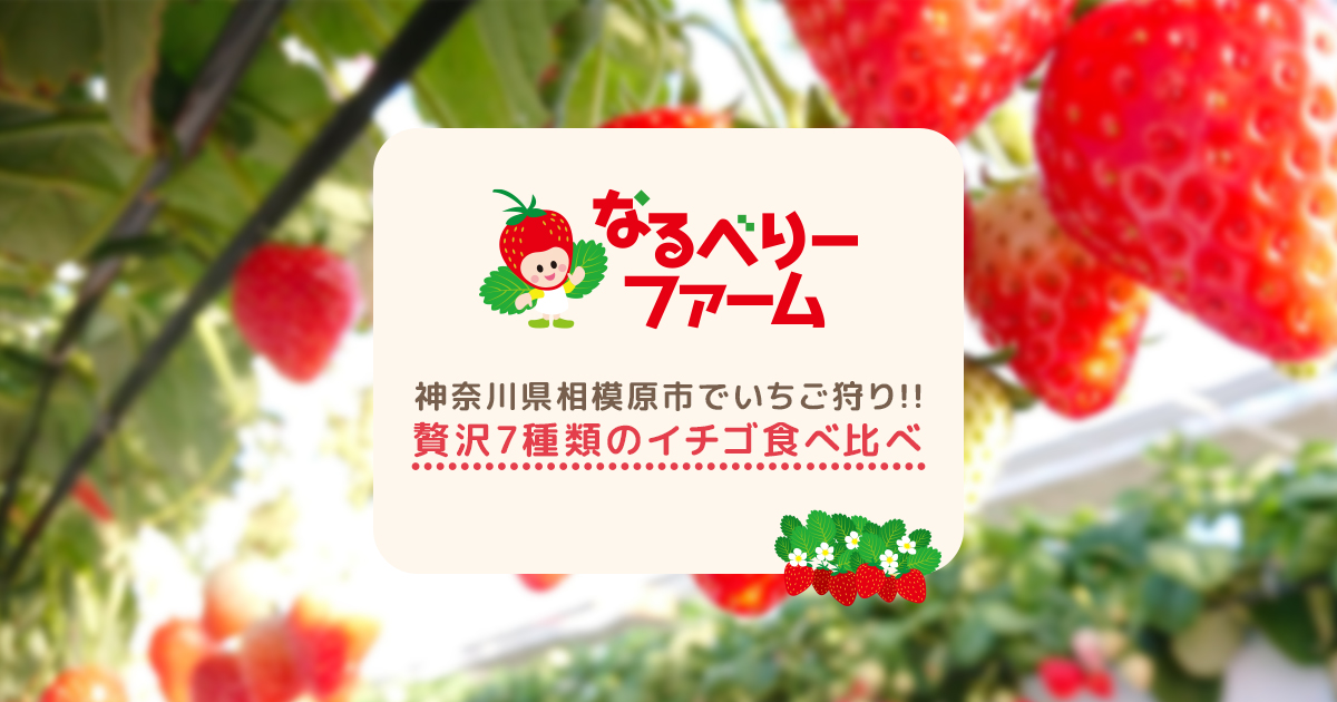 なるベリーファーム | 神奈川県相模原市でいちご狩り